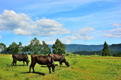 Atom Heart Mother