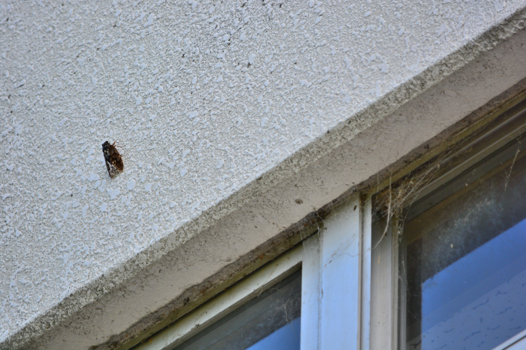 そこでもないですが。。。