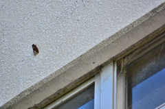 そこでもないですが。。。