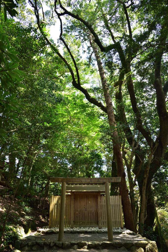 津長神社、新川神社、石井神社