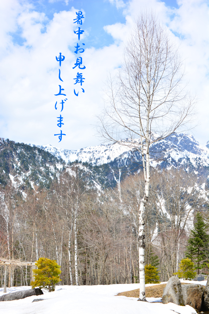 暑中お見舞い申し上げます