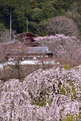 見上げれば