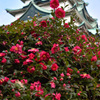 花の城