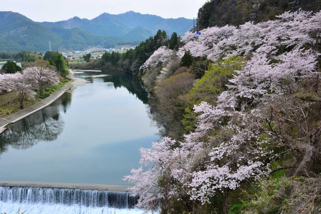 長閑な春