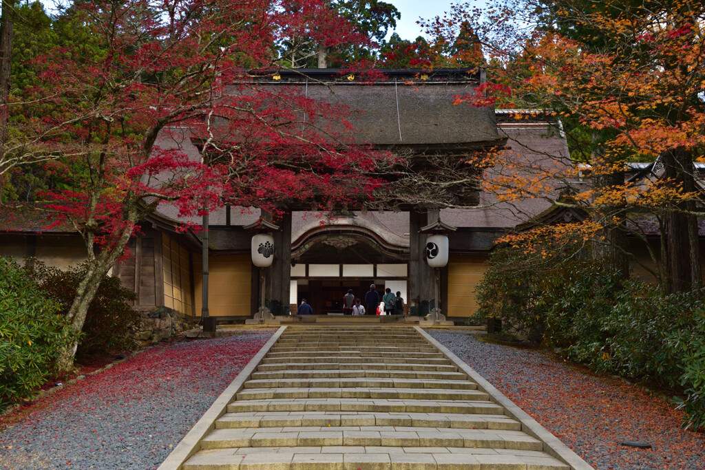 金剛峰寺　出遅れ