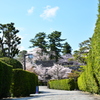 わたしの城下町　桜編