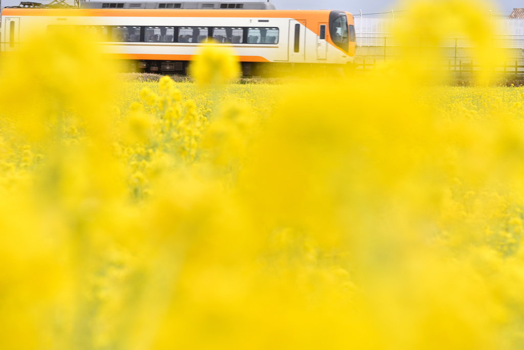 Orange and Yellow