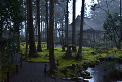 冷たい雨が三千院を濡らす