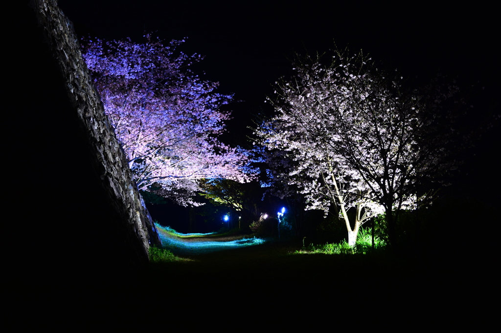 よ～わからんです　その2