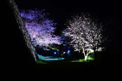 よ～わからんです　その2