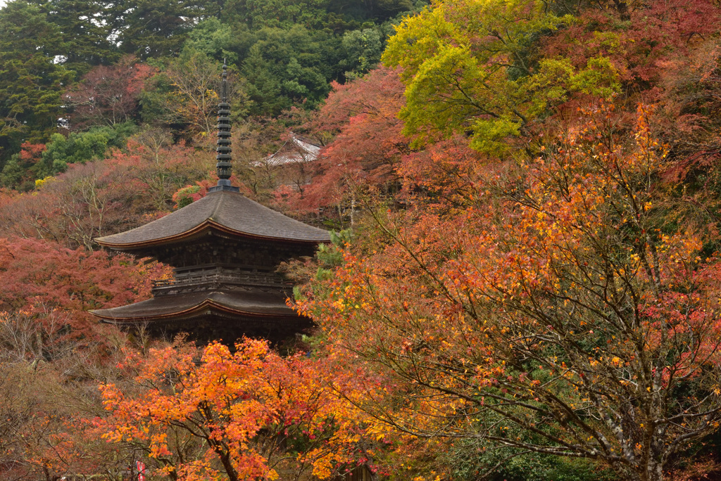 金剛院　三重塔