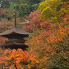 金剛院　三重塔