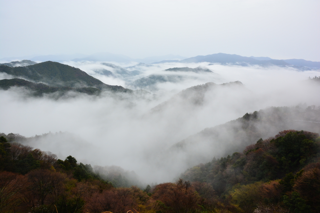 雲海