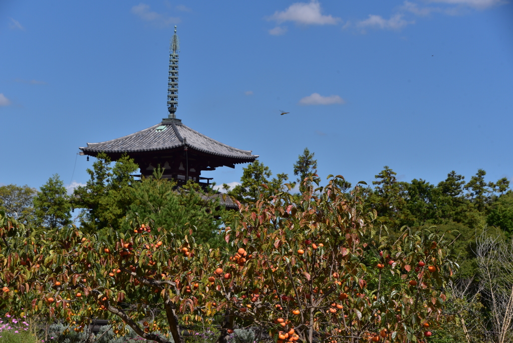 秋の風景