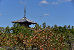 秋の風景
