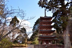 百塔巡拝　海住山寺
