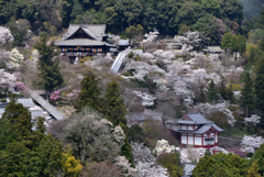 花の御寺