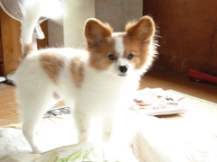 相棒