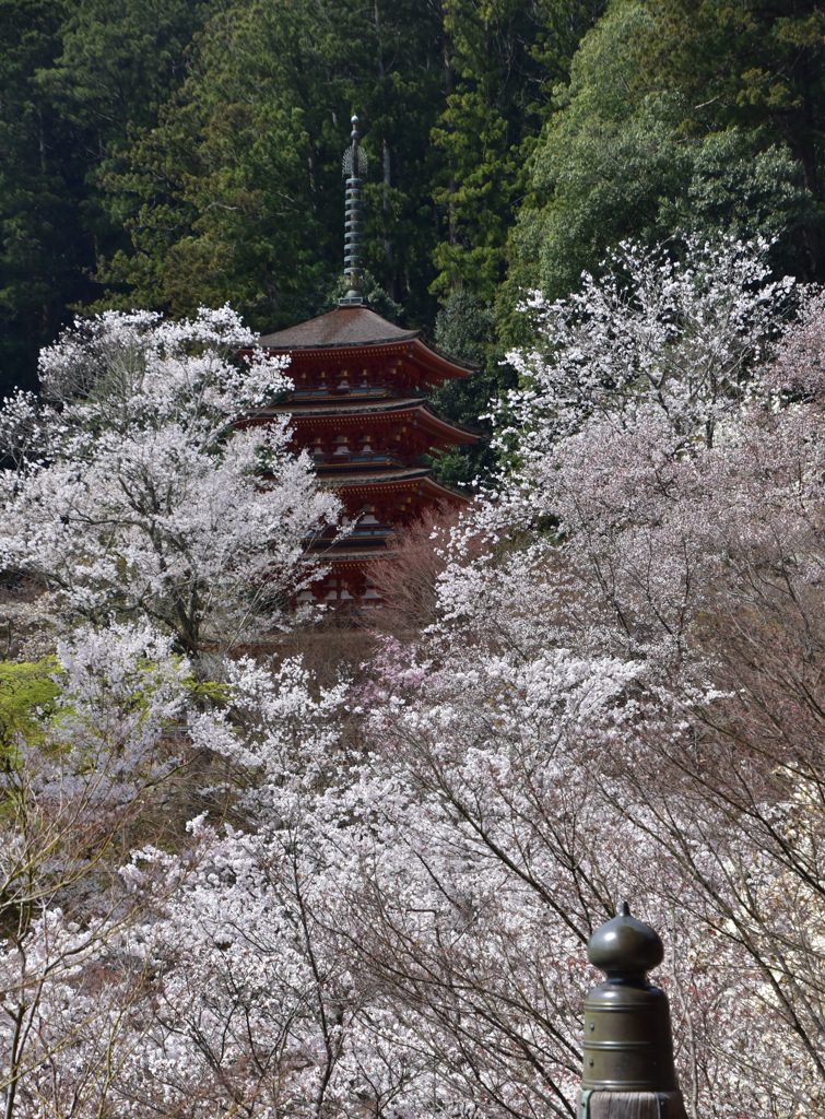 花の塔