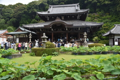 三室戸寺　本堂