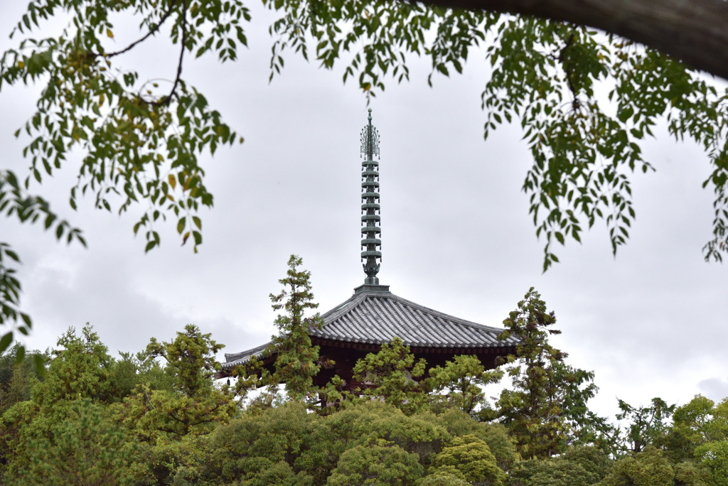 百塔巡拝　法輪寺
