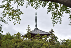 百塔巡拝　法輪寺