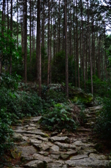 途中