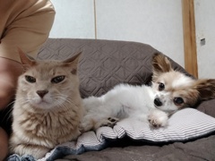 Best Friend