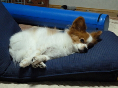 相棒