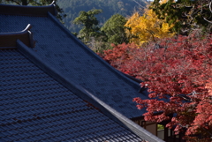 永源寺の屋根