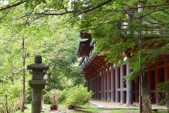 深緑に埋もれて