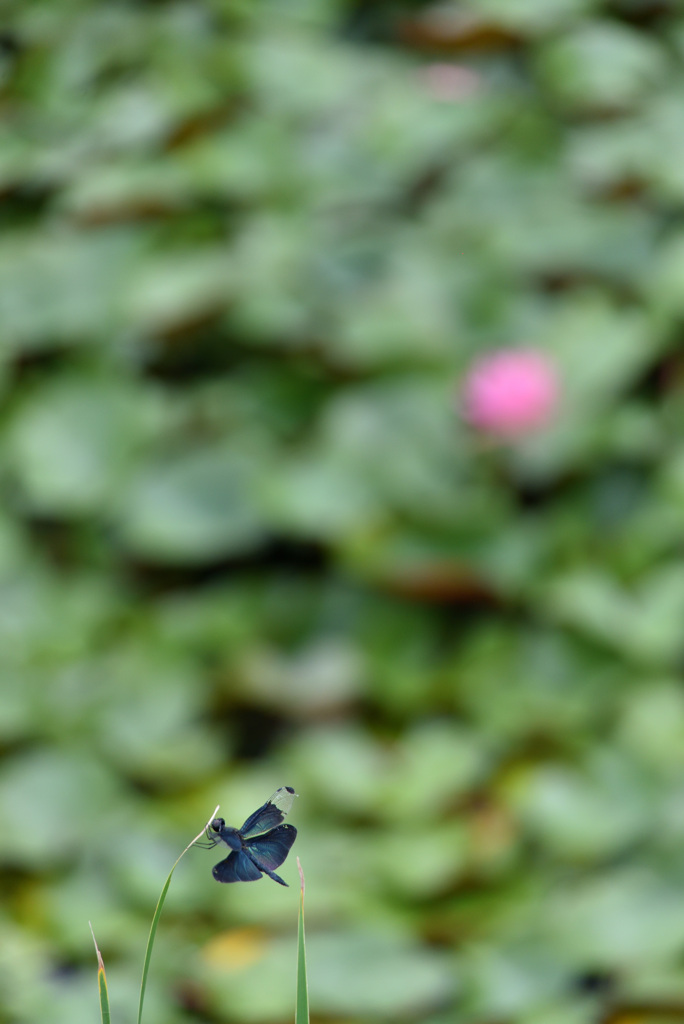 ポツン