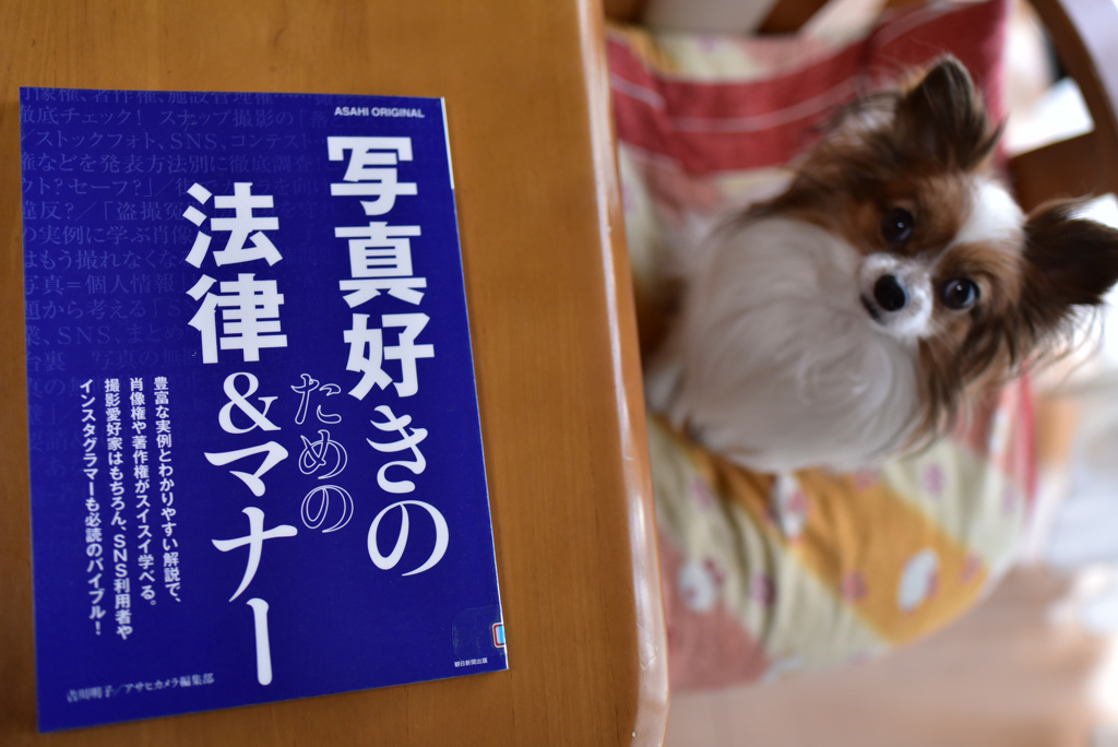 カメラマン必読の書