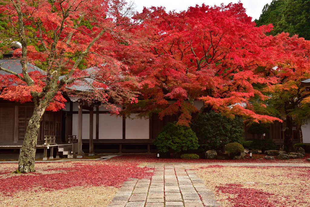 宿坊の紅葉