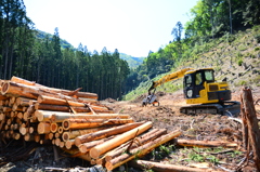 クレーン車の休日