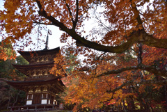 西明寺　三重塔