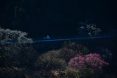 ご報告