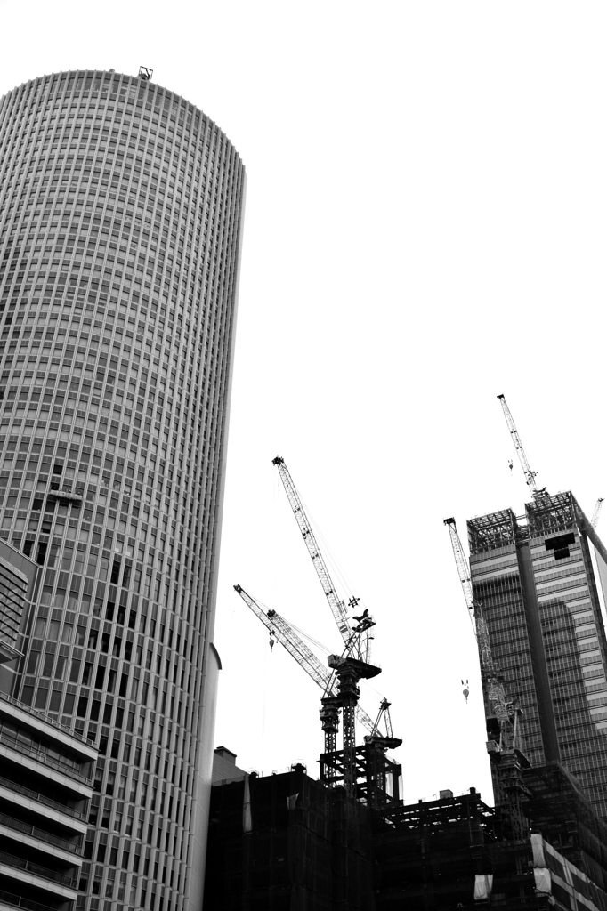 ビルの街にガオー！！