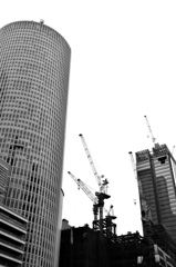 ビルの街にガオー！！