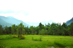 上高地　田代池付近　2