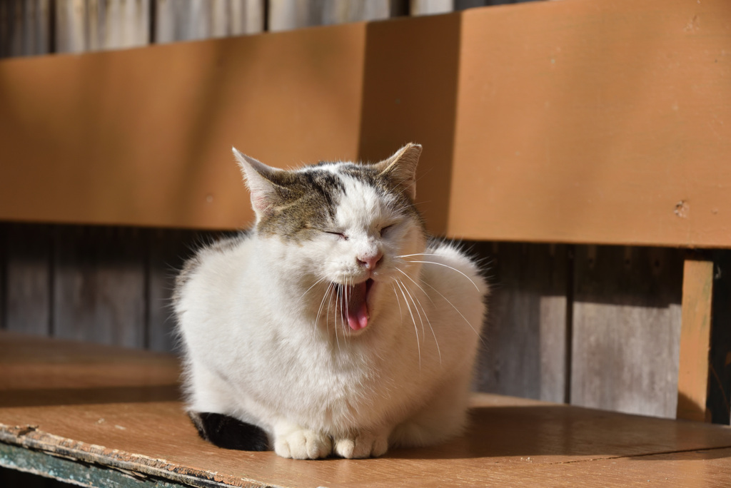 笑っちゃうよね