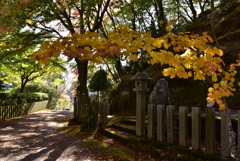 新大仏寺にて