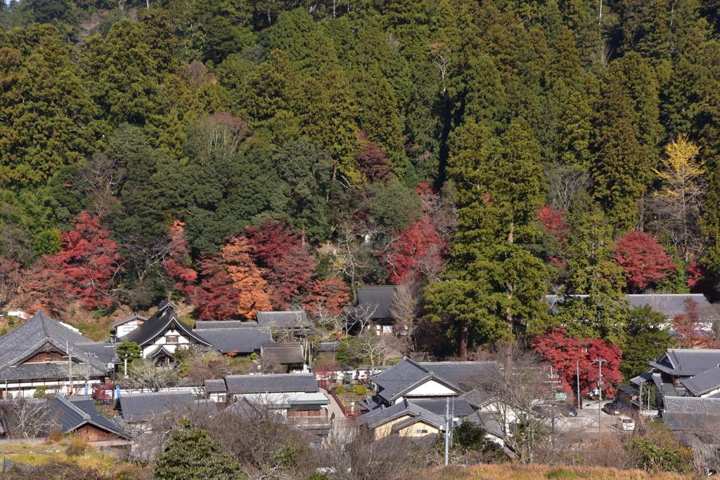 室生寺　遠望