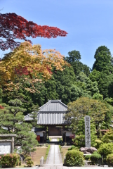 大池寺