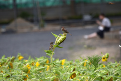 ちょっと、どこ見てんねん！