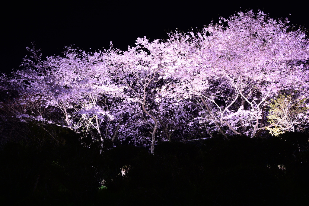 よ～わからんです　その1