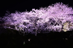 よ～わからんです　その1