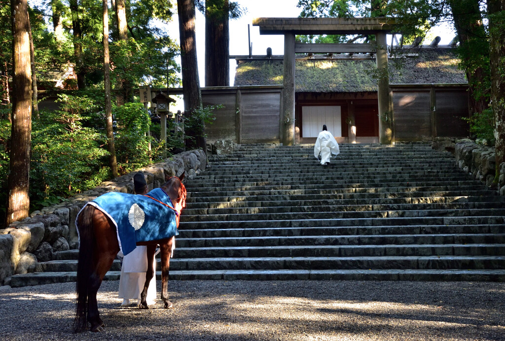 神馬参拝