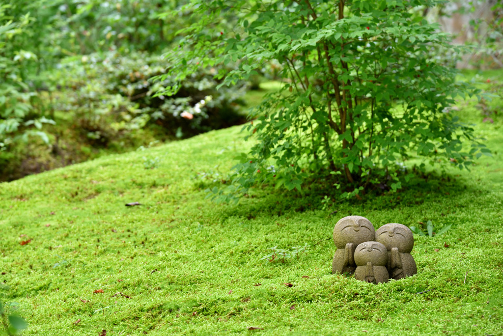 お祈りいたしましょう