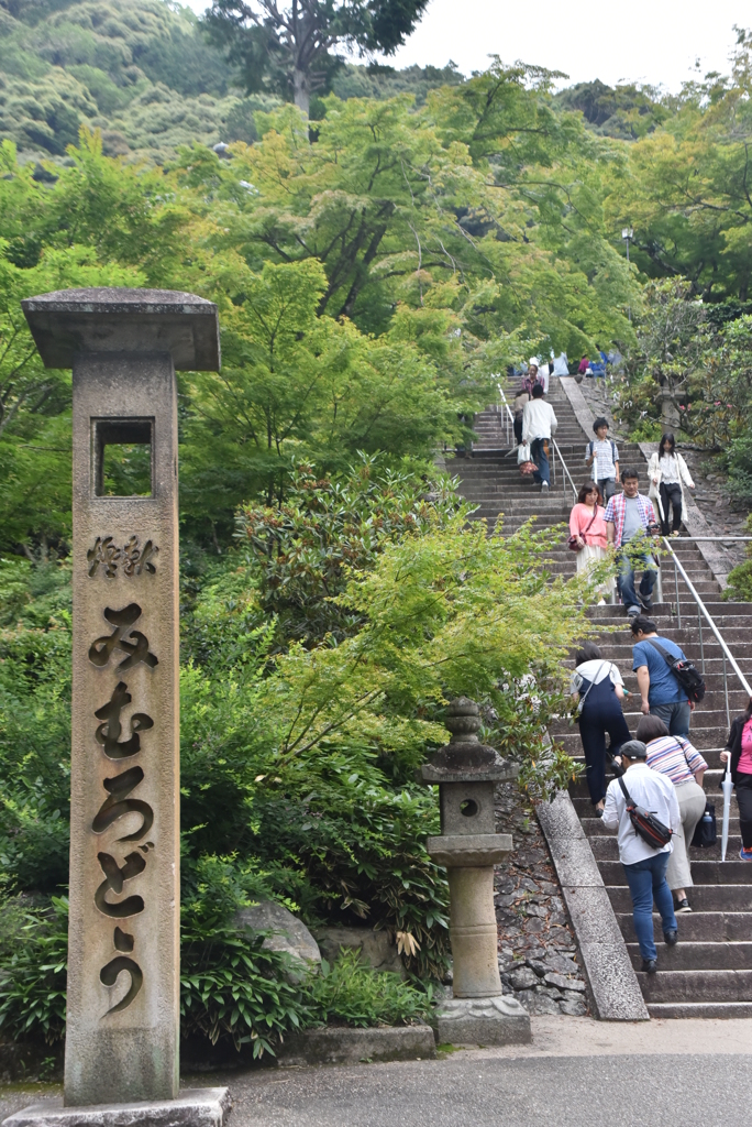 三室戸寺　石段